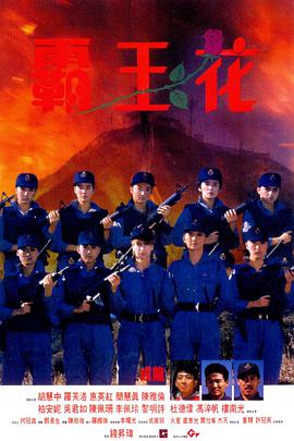 《荒岛惊魂》海报